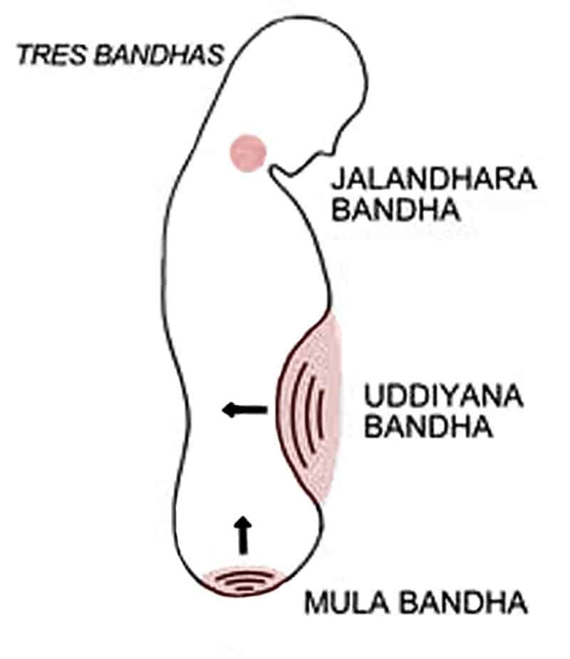 A diagram about pranayama breathing