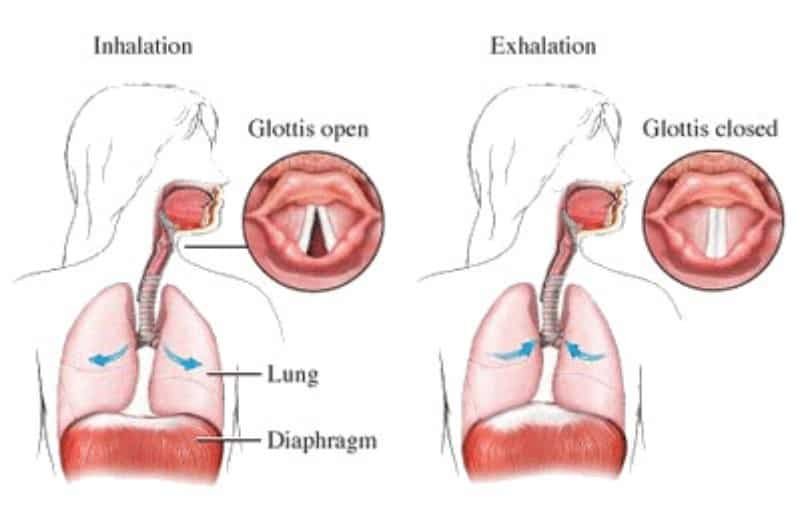 pranayama breathing diagram